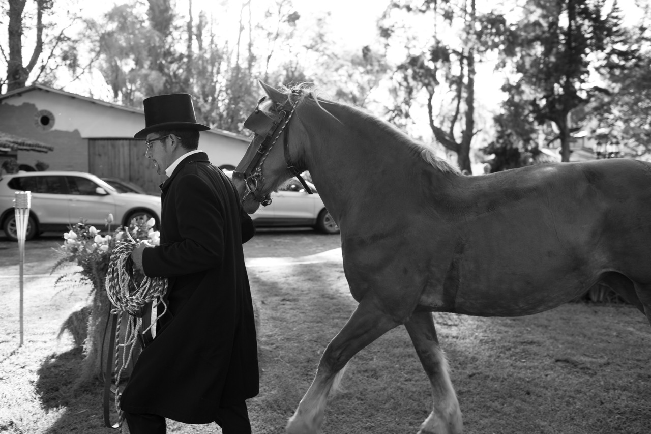 Fotografos de matrimonios - María Roa